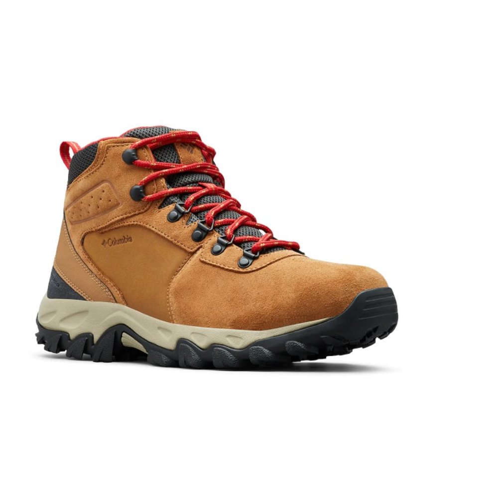 NEWTON RIDGE PLUS II HIKING BOOT - MEN'S